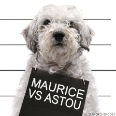 le meilleur